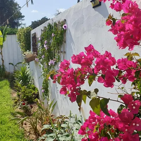 Casa Pelicano Chiclana de la Frontera Exterior photo