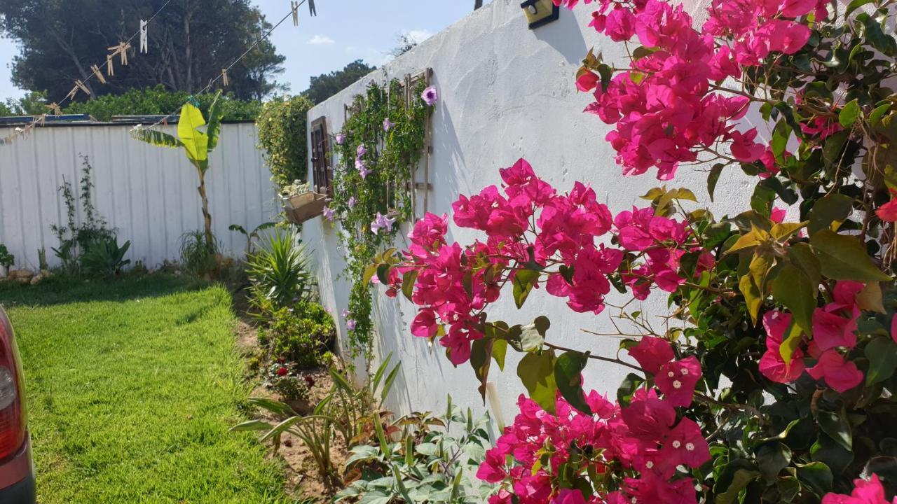 Holiday home Casa Pelicano